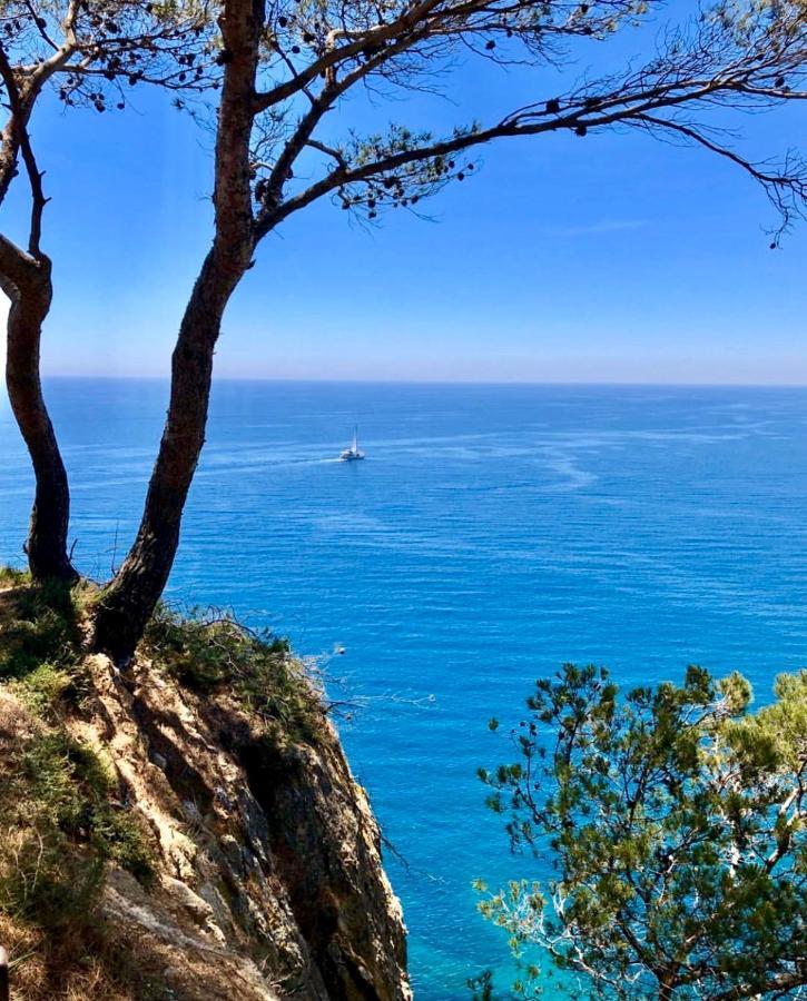 Apartamento Tossa De Mar Eksteriør billede