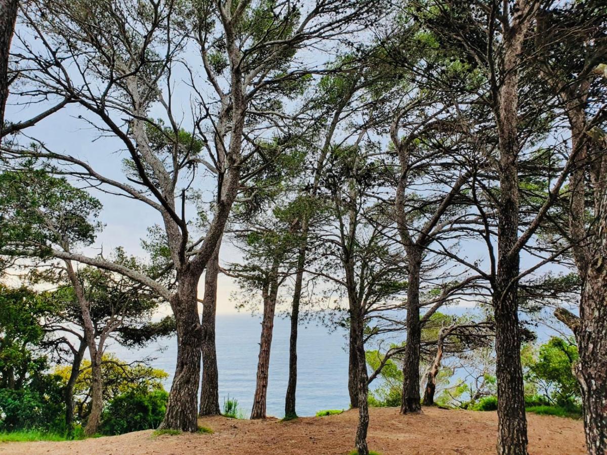 Apartamento Tossa De Mar Eksteriør billede